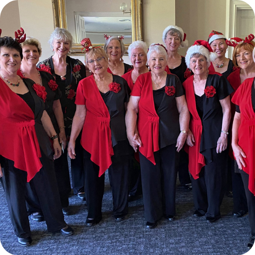 TTHA Webpage - market photos per section 500x500pxs (1)