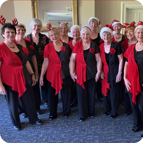 TTHA Webpage - market photos per section 500x500pxs