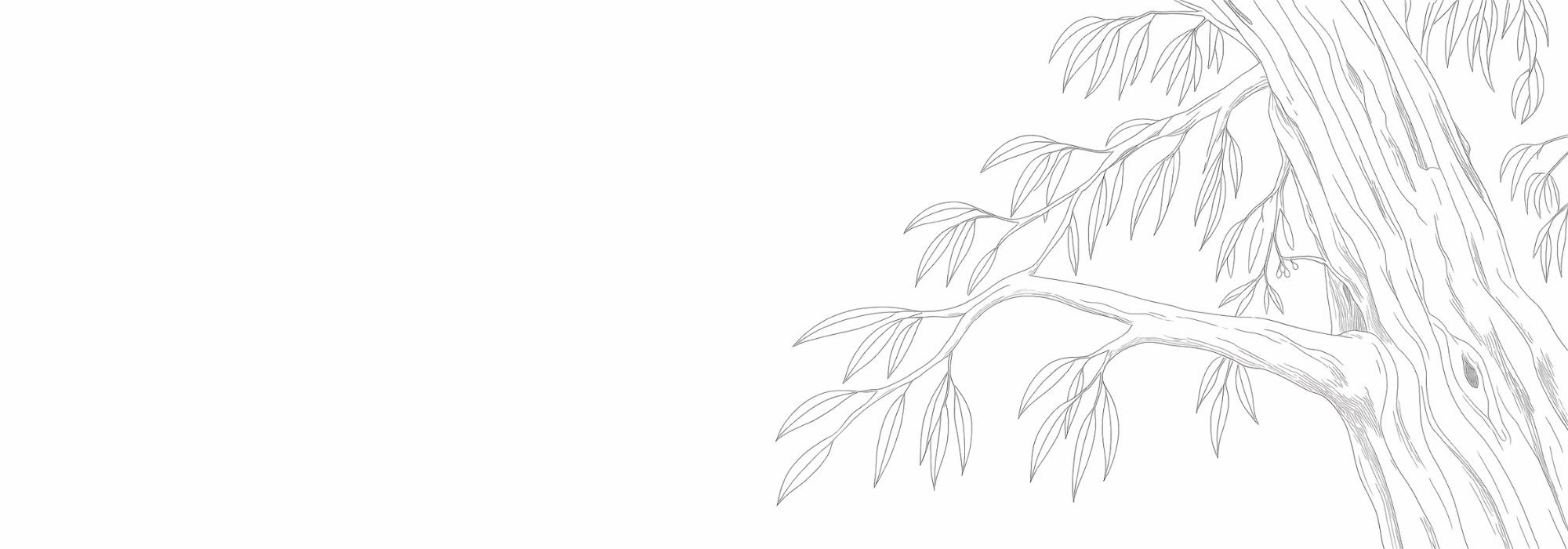 The Ranges Website Banner (1)